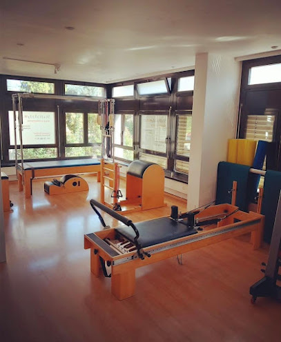 Studio Body